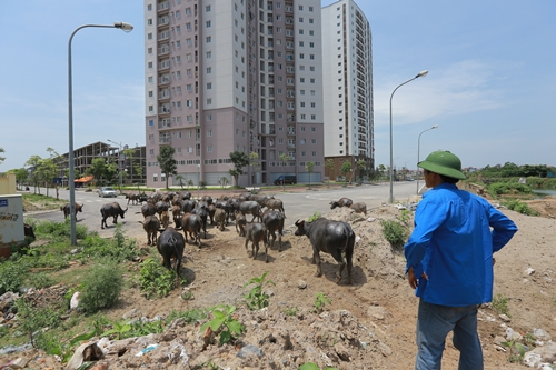 Hà Nội sau 10 năm mở rộng